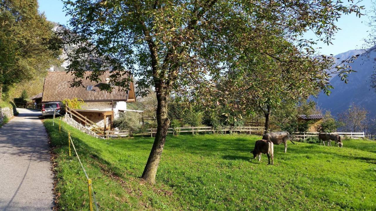 Chalet La Nos Molina di Ledro Cameră foto